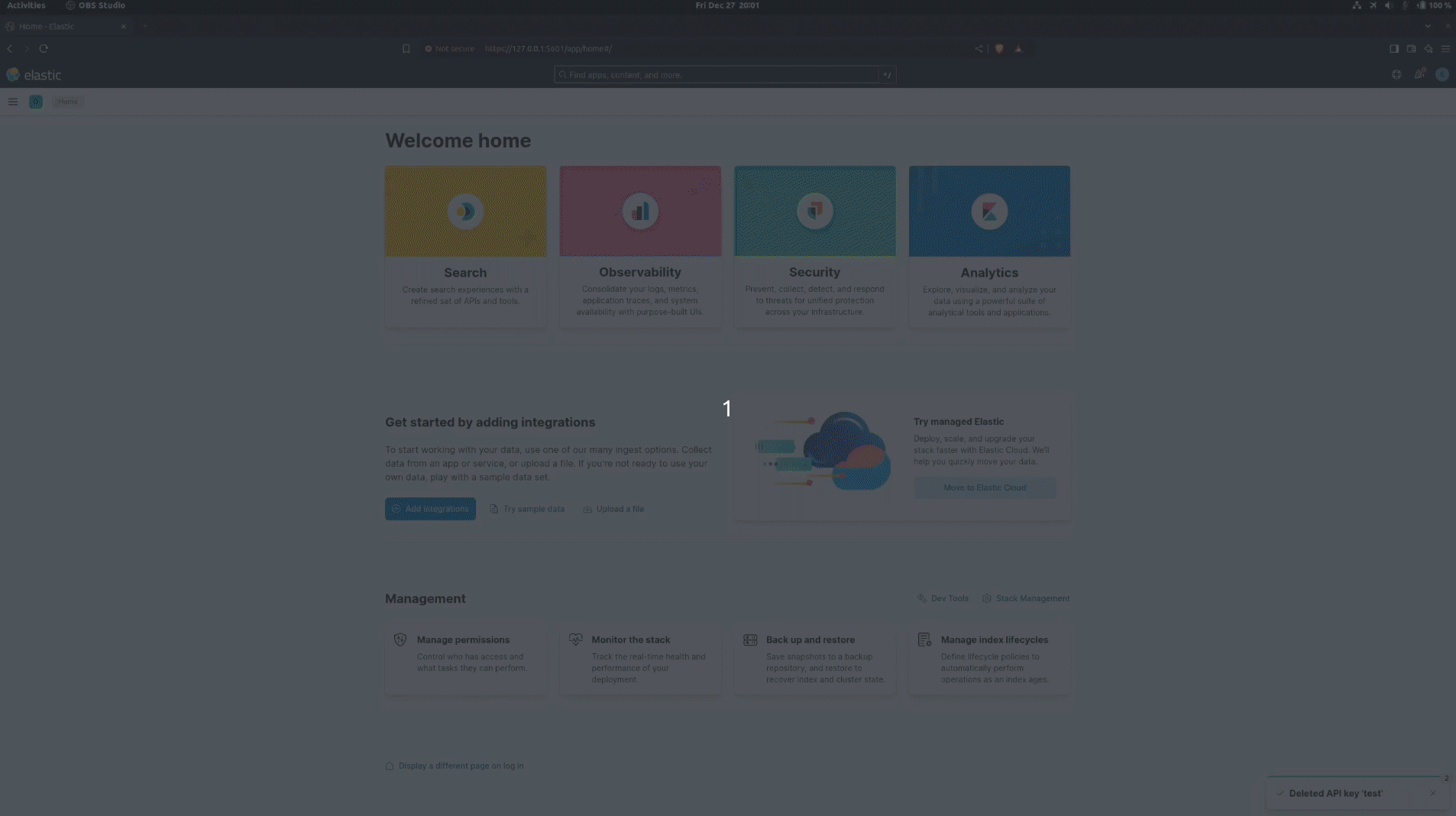 API Key Auth Example